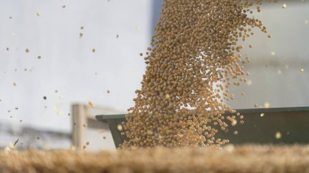 Argentina enviaría a Venezuela productos agroalimentarios a cambio de diésel