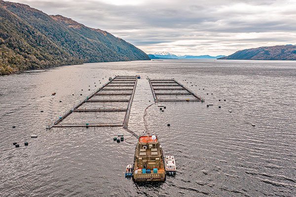 Boric critica otra vez a las salmoneras y buscará que se les aplique una mayor fiscalización