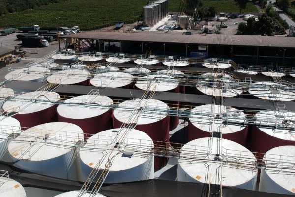 <p>Una de las mayores exportadoras de vino a granel del país inicia proceso de reorganización para evitar la quiebra</p>