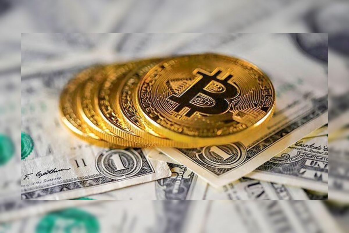 <p>Administradoras de fondos ignoran caída de las criptomonedas y siguen apostando a lo grande</p>