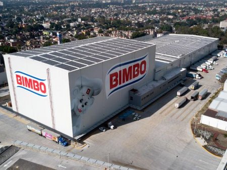 Mexicana Bimbo lanza aceleradora de negocios en alimentos y sale a buscar interesados