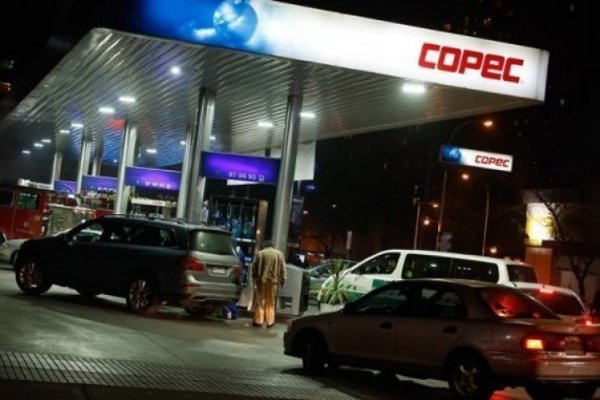 <p>Empresas Copec alcanza utilidades por US$ 1.000 millones en el primer semestre por positivo desempeño de negocio forestal</p>