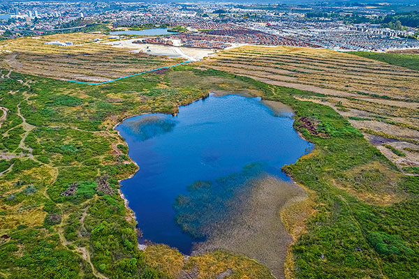 Tercer Tribunal Ambiental autoriza detención parcial de proyecto inmobiliario en Los Lagos por afectación a humedal