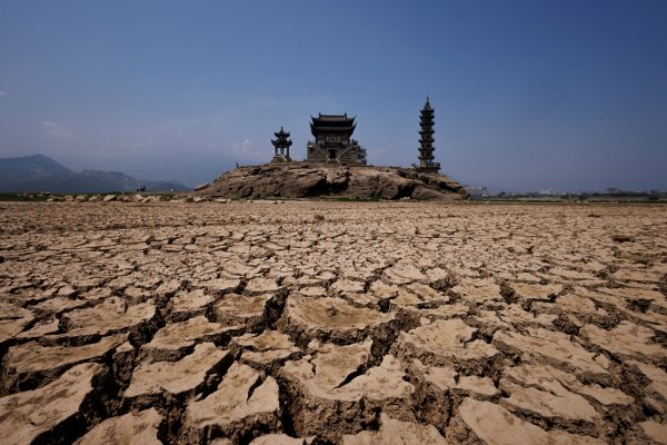 Las altas temperaturas en China convierten cultivo de uvas en pasas