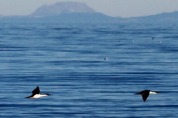 EEUU alerta de un récord de la temperatura de los océanos en 2021