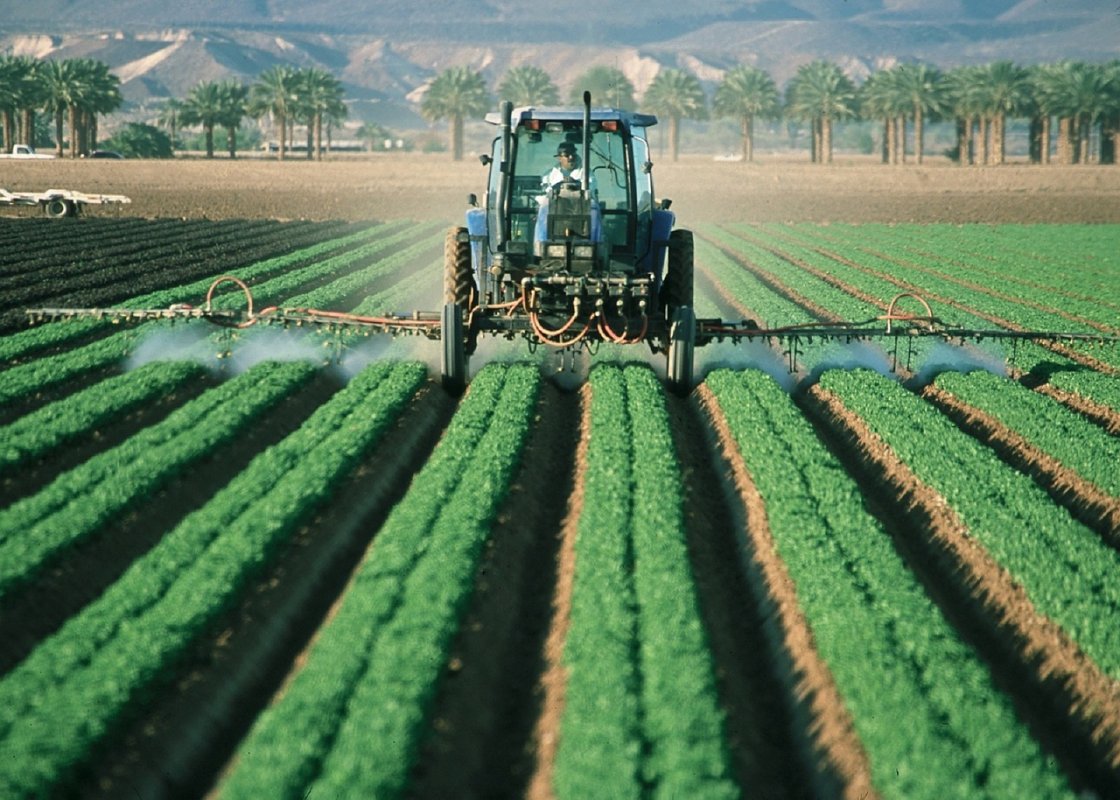 <p>El último activo que le quedaba por vender a Inversiones Norte Sur</p>