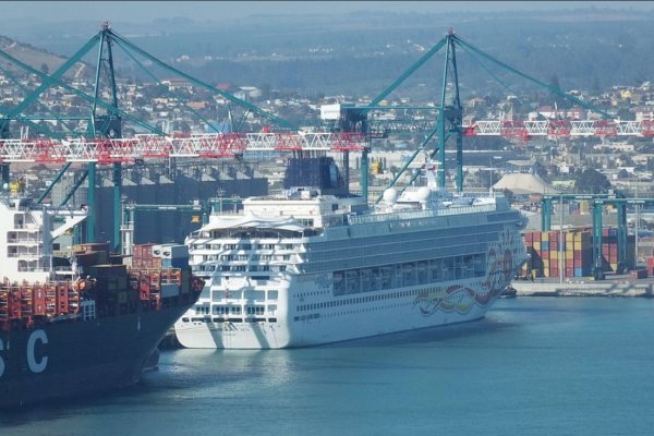 <p>Rubro de cruceros se reactiva ante la espera de más de 300 mil turistas para esta temporada</p>