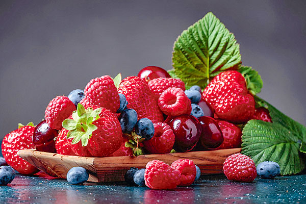 Los motivos que llevaron a Hortifrut a recambiar sus varietales generando un millonario deterioro
