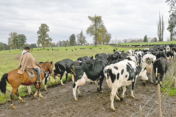 Productores de leche avanzan en las relaciones con EEUU y firman acuerdo con gremio norteamericano