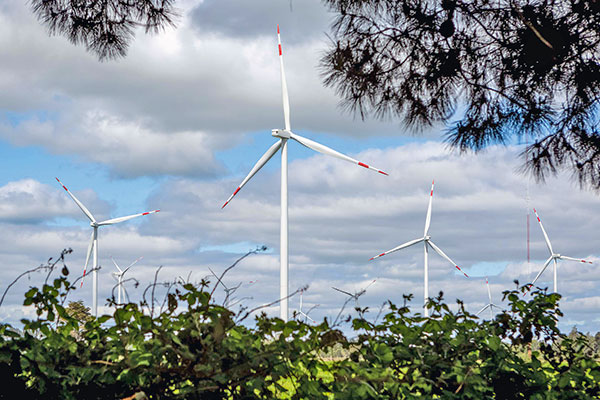 Exsubsecretario de Energía advierte eventual estancamiento para alcanzar meta de carbono neutralidad a 2050