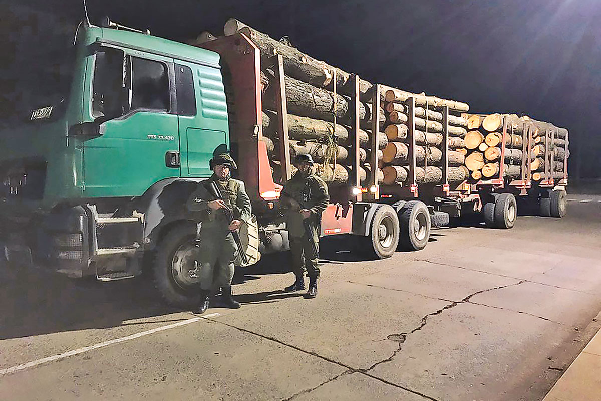 <p>45 empresas forestales demandan al Estado por 78 ataques en la macrozona sur</p>