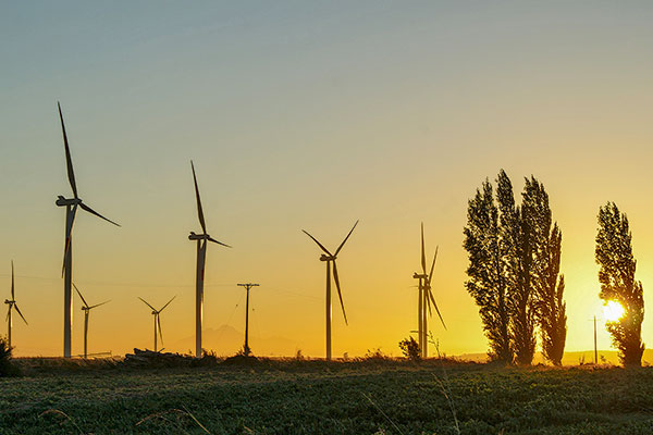 <p>HIF y Enel Green Power retiran estudio de impacto ambiental de proyecto eólico por US$ 500 millones y apuntan a exigencias de la autoridad</p>