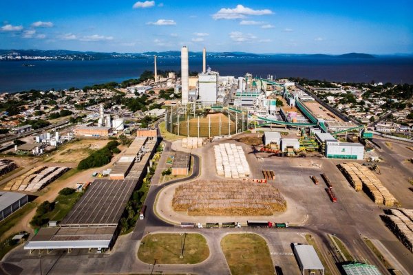 CMPC emite bono verde por cerca de US$ 250 millones y totaliza más de US$ 2.200 millones en financiamientos sostenibles