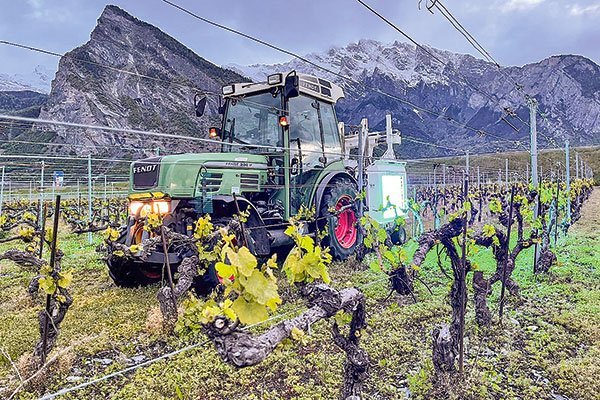 <p> UVBoosting, que mejora la resistencia a la agresión en las plantas, será testeada en viñas de Concha y Toro.</p>