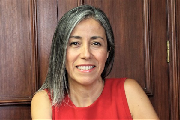 <p>La nueva Superintendenta de Seguridad Social, Pamela Gana.</p>
