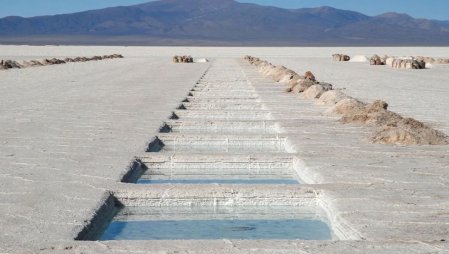 Grupo minero francés analiza duplicar su meta de producción de su proyecto de litio en Argentina