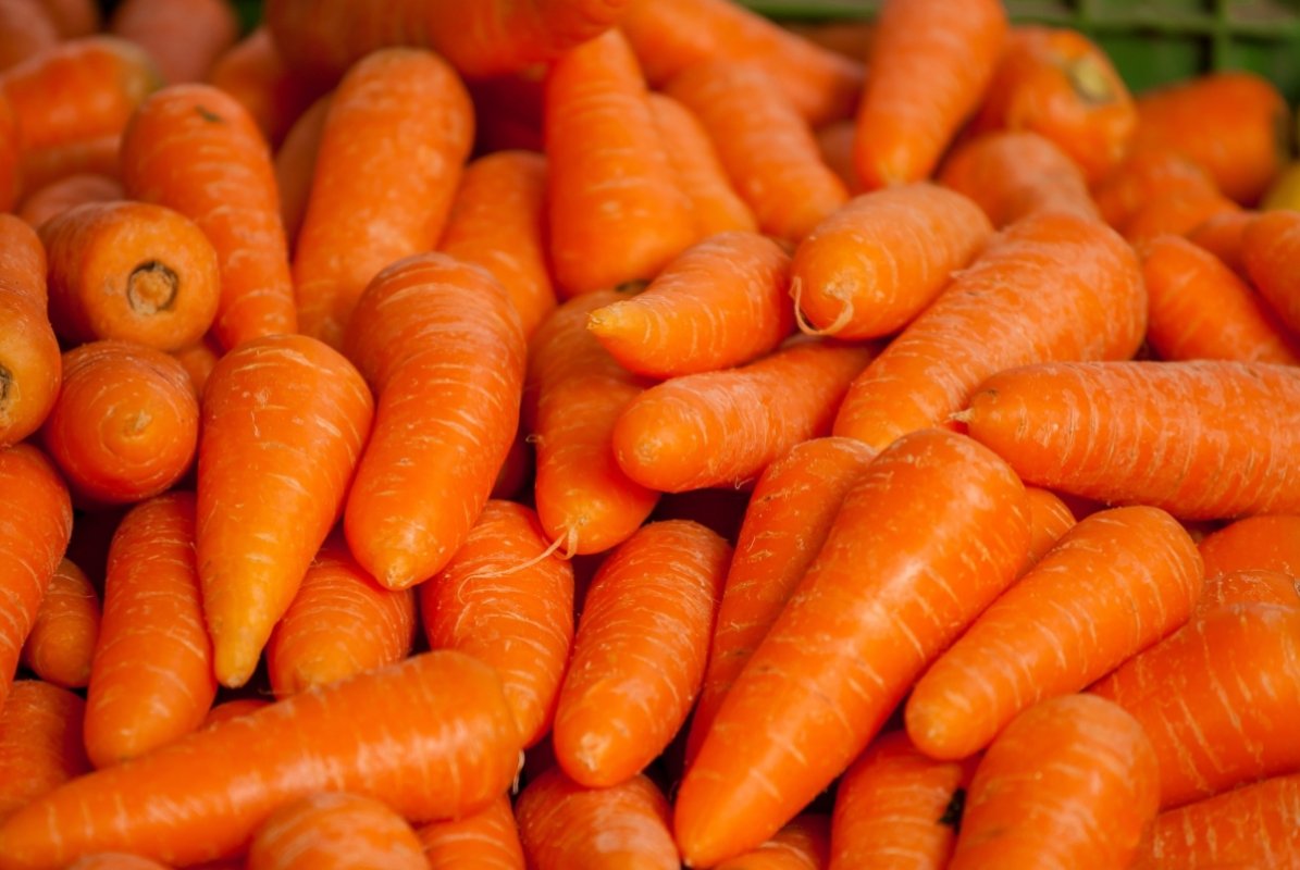 <p>Alerta naranja: ¿Por qué subió la zanahoria?</p>