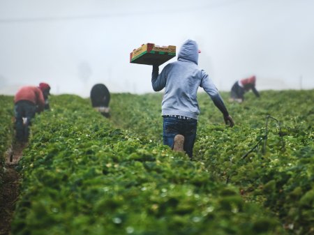 Canadiense Nutrien sigue expandiéndose en Brasil y suma nueva cadena minorista