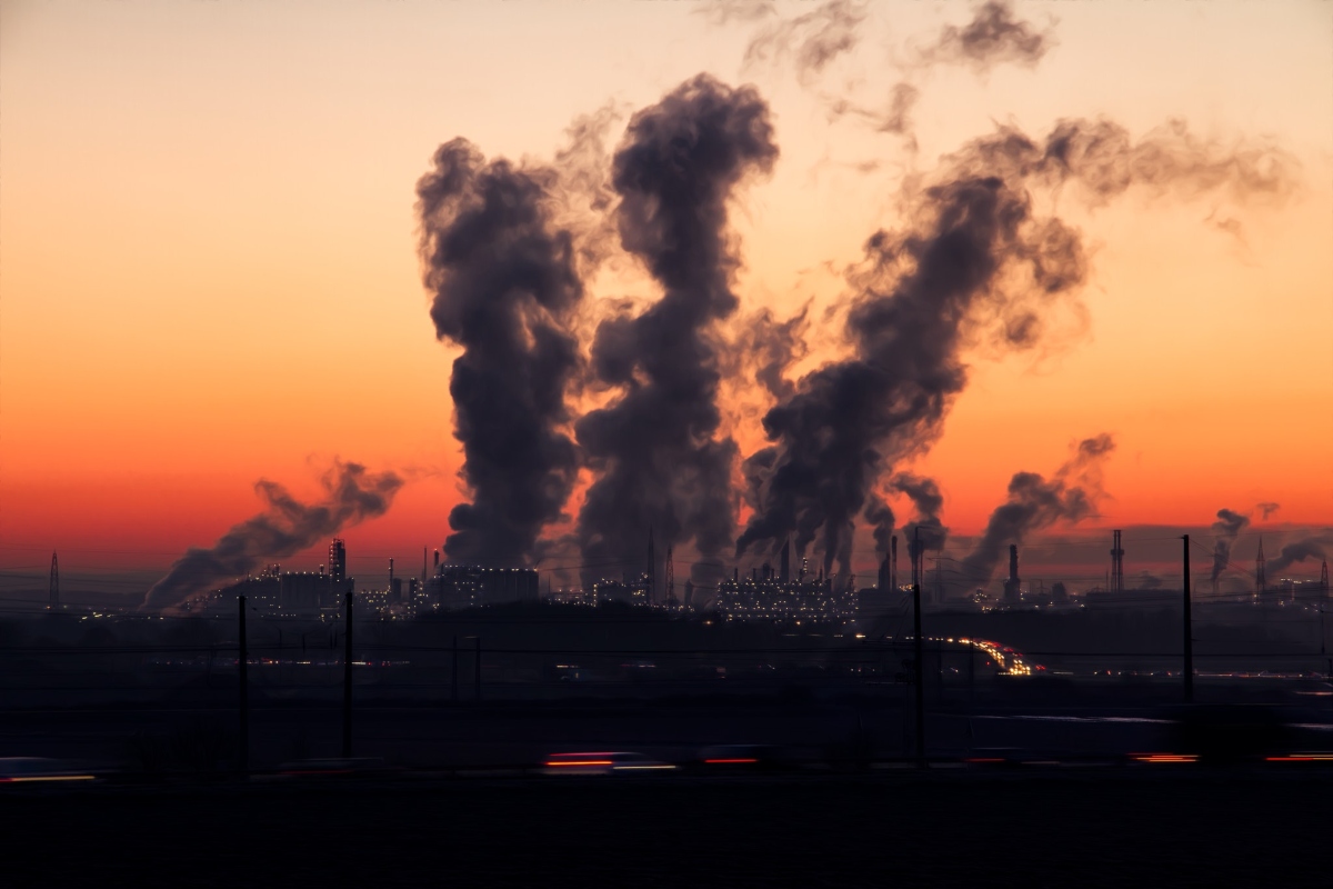 <p>Las plagas de las que se hablará en Egipto en la COP 27</p>