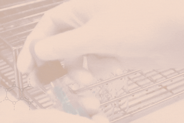 <p>DATA DF</p>