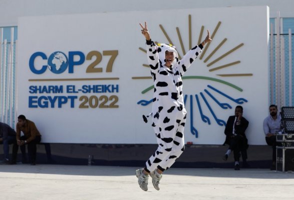 <p>COP27 en imágenes</p>