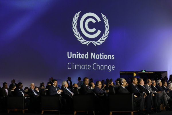 <p>Expertos de la ONU en COP27: compromisos climáticos corporativos están plagados de lavados de imagen</p>