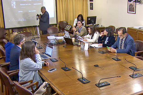 Continua discusión de proyecto que fomenta la participación de las renovables