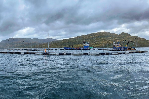 Documental de Nat Geo denuncia prácticas de salmoneras que perjudicarían a comunidades kawésqar