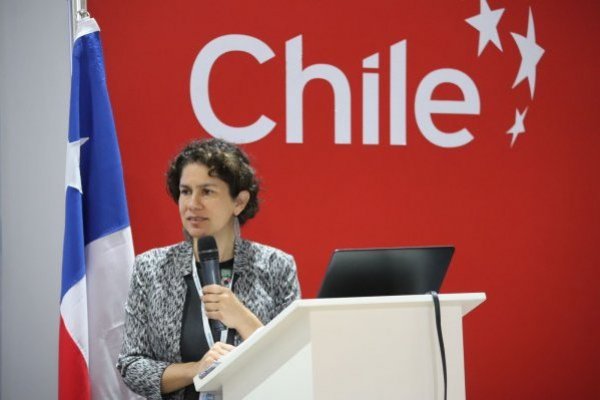 Chile compromete Transición Socio Ecológica Justa, aumentar áreas protegidas y reducir metano en Cumbre del Clima de la ONU