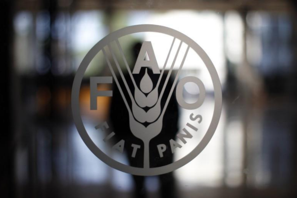 FAO pide en la COP27 "fortalecer" la acción climática en la agricultura