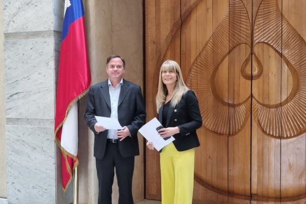 Rincón y Walker ofician al Ejecutivo para que entregue forma de cálculo con que se elaboró la reforma previsional