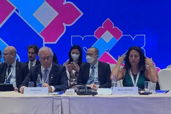 <p>Mónica Retamal, miembro del Consejo Asesor Empresarial y el mensaje de APEC: “El futuro es lo que está en riesgo hoy”</p>