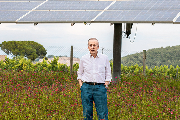 <p>Viña Miguel Torres explora nuevas ubicaciones en la Región de los Lagos ante cambio climático: “La respuesta está en viajar hacia el sur”</p>