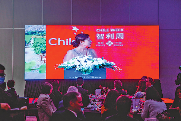 <p>Chile week en China: uso del agua, hidrógeno verde y vinos serán los protagonistas</p>