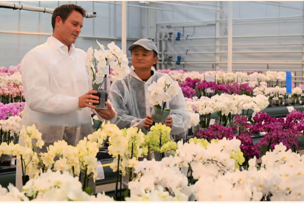 La nueva vida de Jack Ma tras su exilio de la vida pública