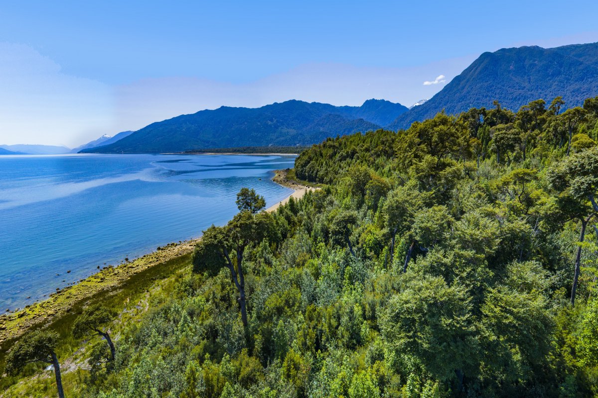 <p>Los terrenos de la Patagonia chilena que se venden en Nueva York</p>
