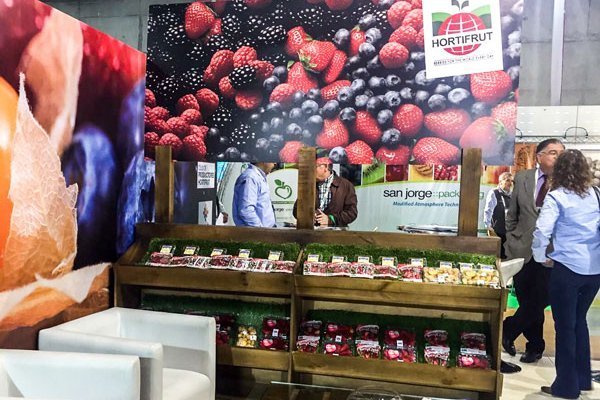Fondo de pensiones canadiense lanzará OPA por Hortifrut, pero familias Moller, Quevedo, del Río y Elberg mantendrán el control