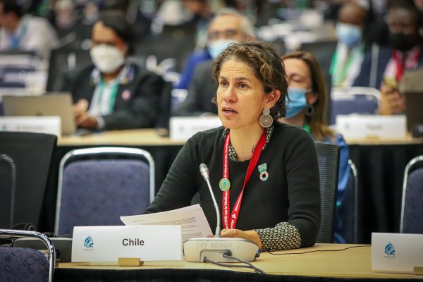 <p>Ministra de Medio Ambiente, Maisa Rojas en la COP15 de Biodiversidad.</p>