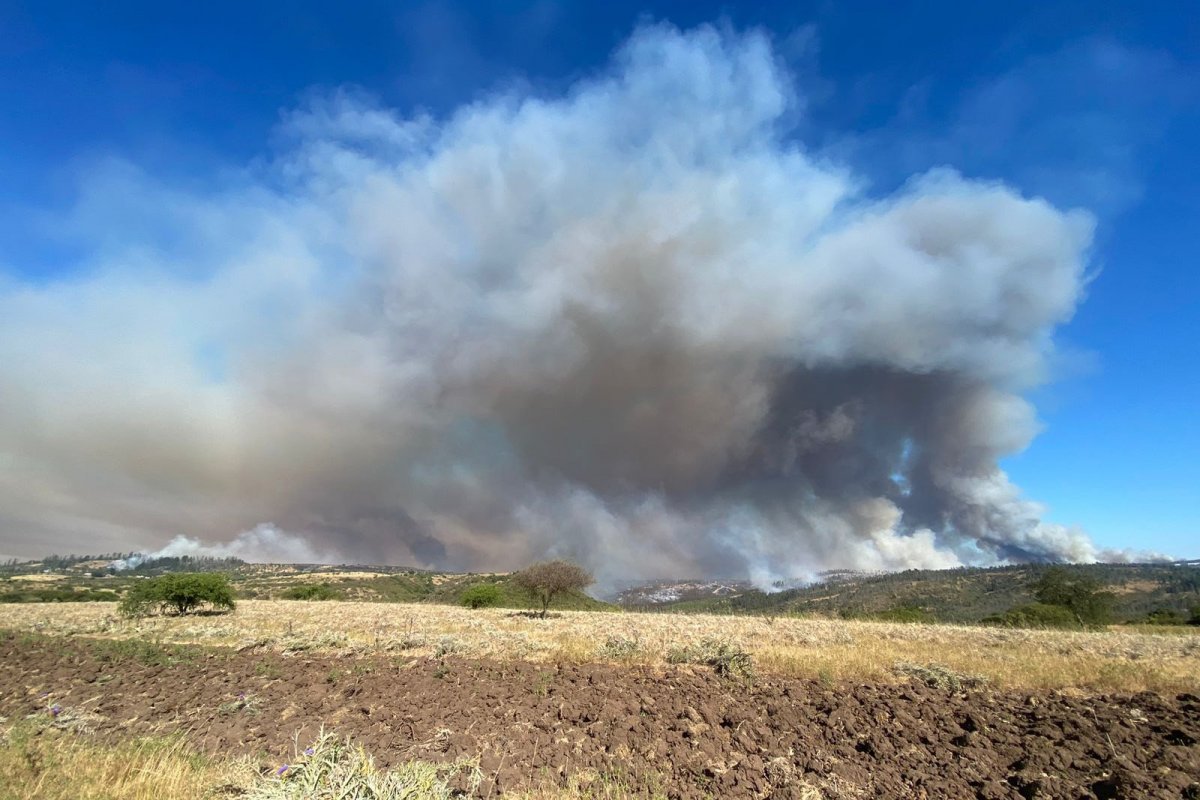 <p>Incendio forestal en Melipilla</p>