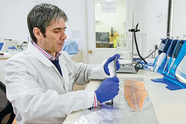GeL-X, el nuevo spin off que busca crear la U. Andes con residuos de salmón