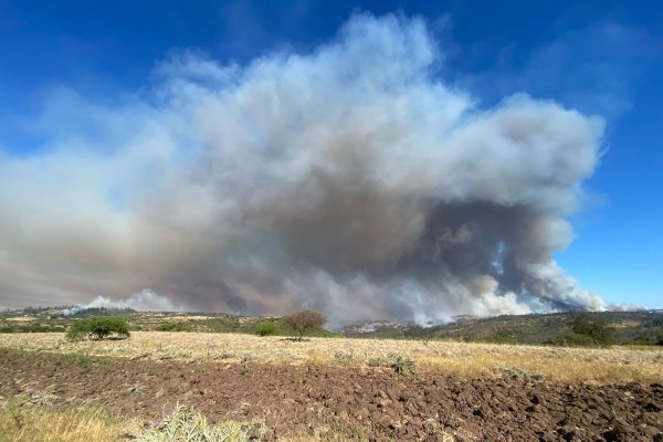 Incendios forestales afectan las regiones de Valparaíso y Metropolitana