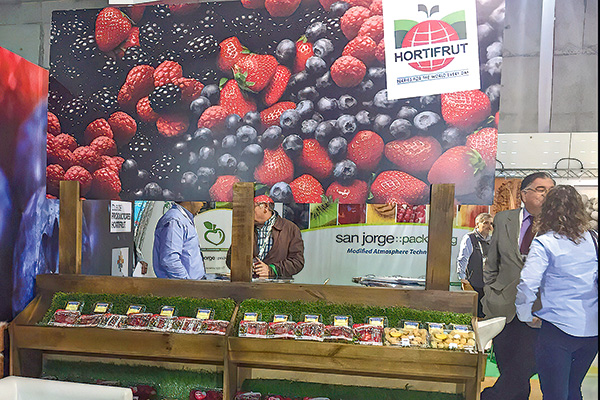 Los inversionistas minoritarios de Hortifrut que decidirán el futuro de la OPA
