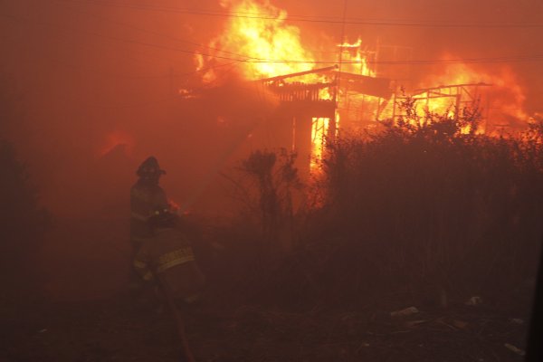 <p>Incendio en Viña del Mar.</p>