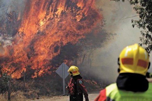 Bomberos no pueden ser despedidos por ausentarse de su trabajo: gobierno detalla los derechos laborales a resguardar en medio de los incendios