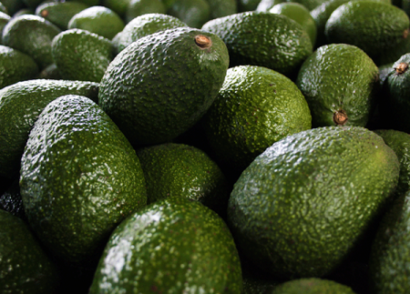 Producción del 30% de la palta Hass peruana está en peligro por la sequía