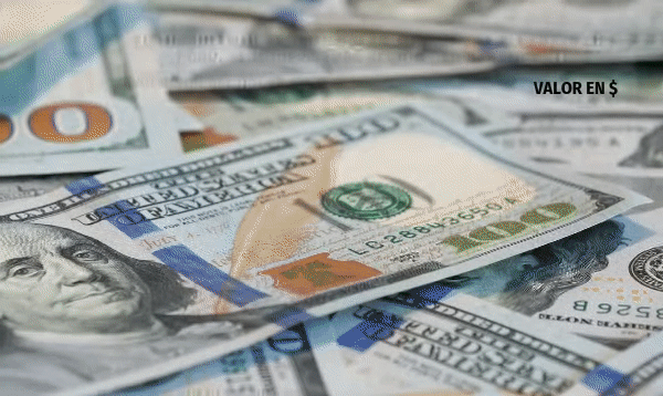 El turbulento año del dólar: después de alcanzar los $ 1.000 se modera tras acción del Banco Central