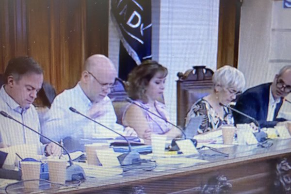 <p>La Comisión de Constitución del Senado despachó la reforma que viabiliza el proceso constituyente</p>