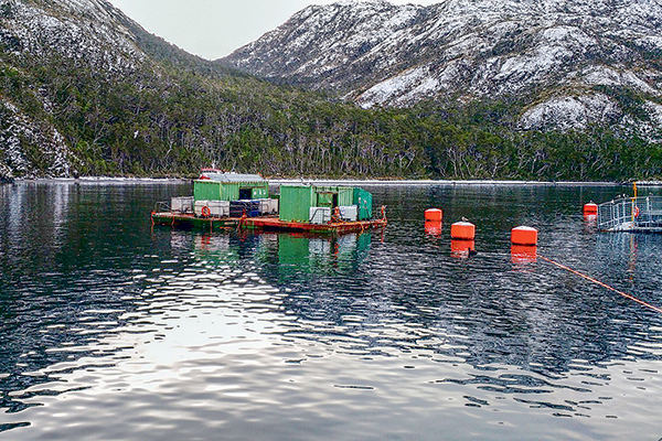 <p>Otro golpe a Nova Austral: Tribunal Ambiental anula relocalización de dos proyectos de la salmonera en Magallanes</p>