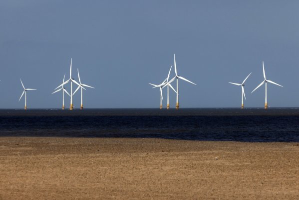 <p>Para que el sector crezca lo suficiente como para evitar un cambio climático catastrófico se necesitarán miles de millones de dólares de inversión adicional.</p>