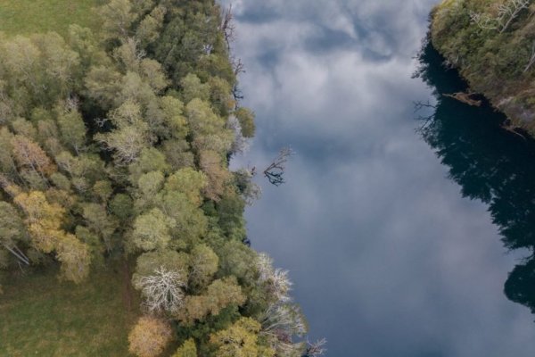 <p>Statkraft desiste de proyecto hidroeléctrico por impacto en sitio cultural y espiritual mapuche-huilliche</p>